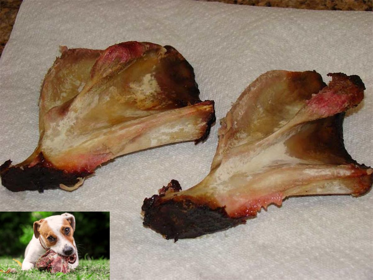 Can Dogs Have Pork Butt Bones? Safe and Unsafe Pork Bones for Dogs!